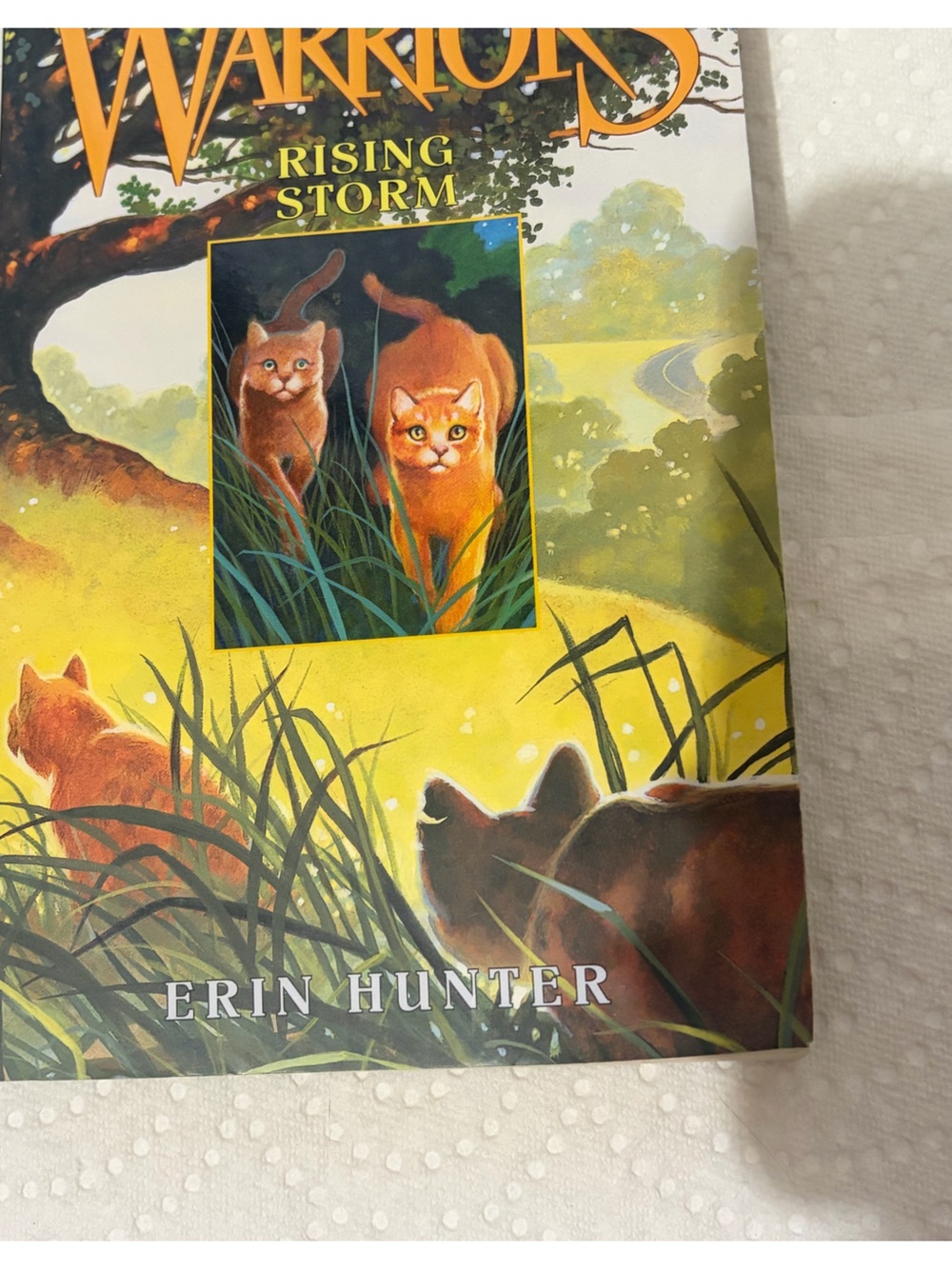 Rising Storm (Warriors, Book 4) - Paperback By Hunter, Erin - - Picture 2 of 4